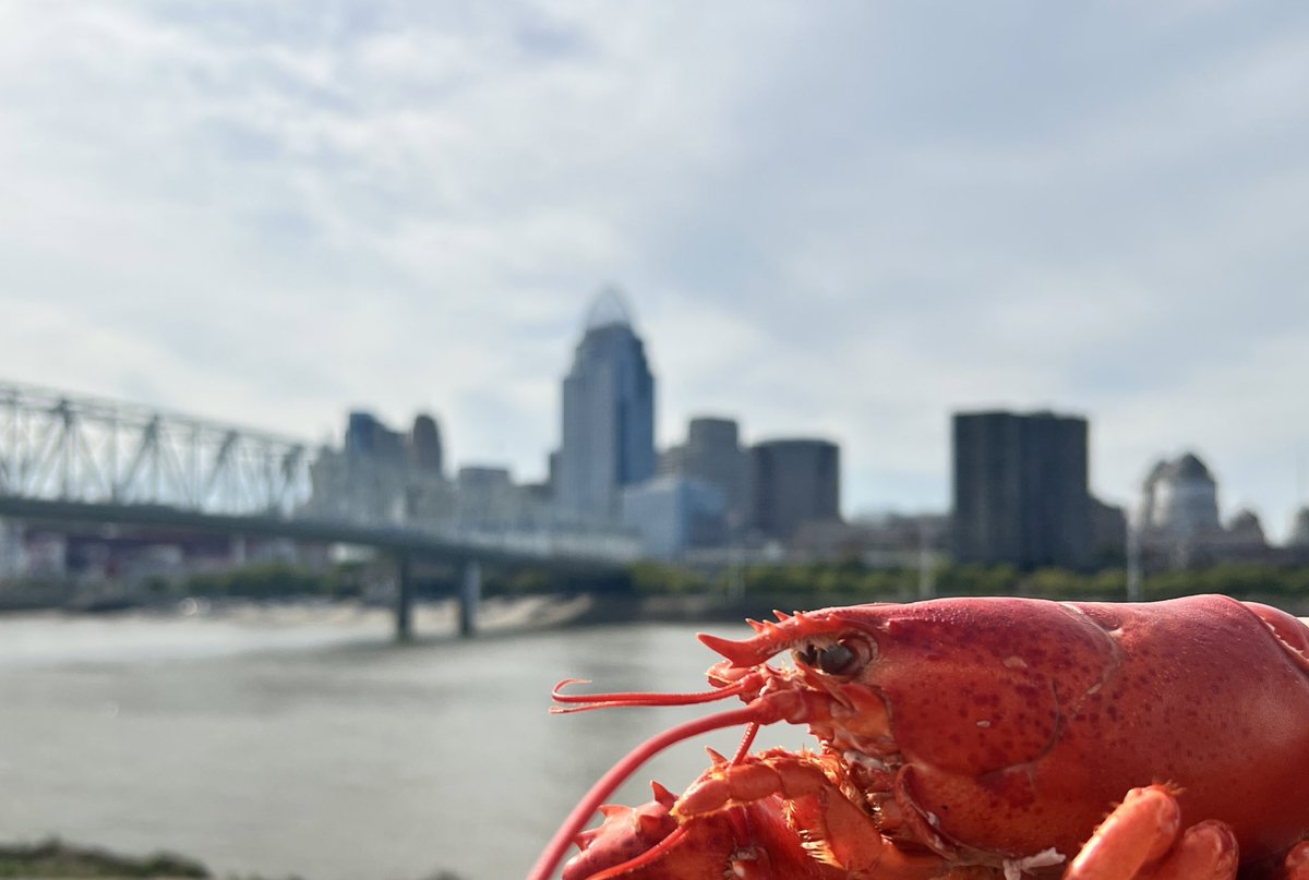 GreatInland's tweet photo. It’s a beautiful night to eat seafood by the Ohio River! We’ll be at Newport’s Festival Park on the levee until 11pm. ☀️🦞🦪🦀🐟 https://t.co/K8H5jGJCfi https://t.co/Wa155SF2zJ