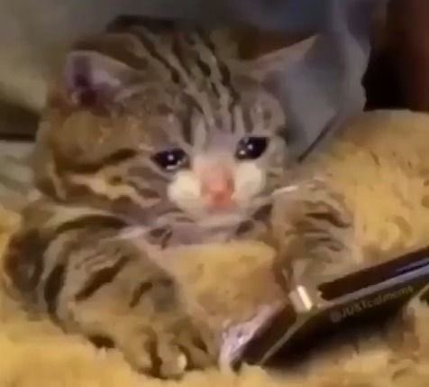 #kaliupds | slow replies tweet media