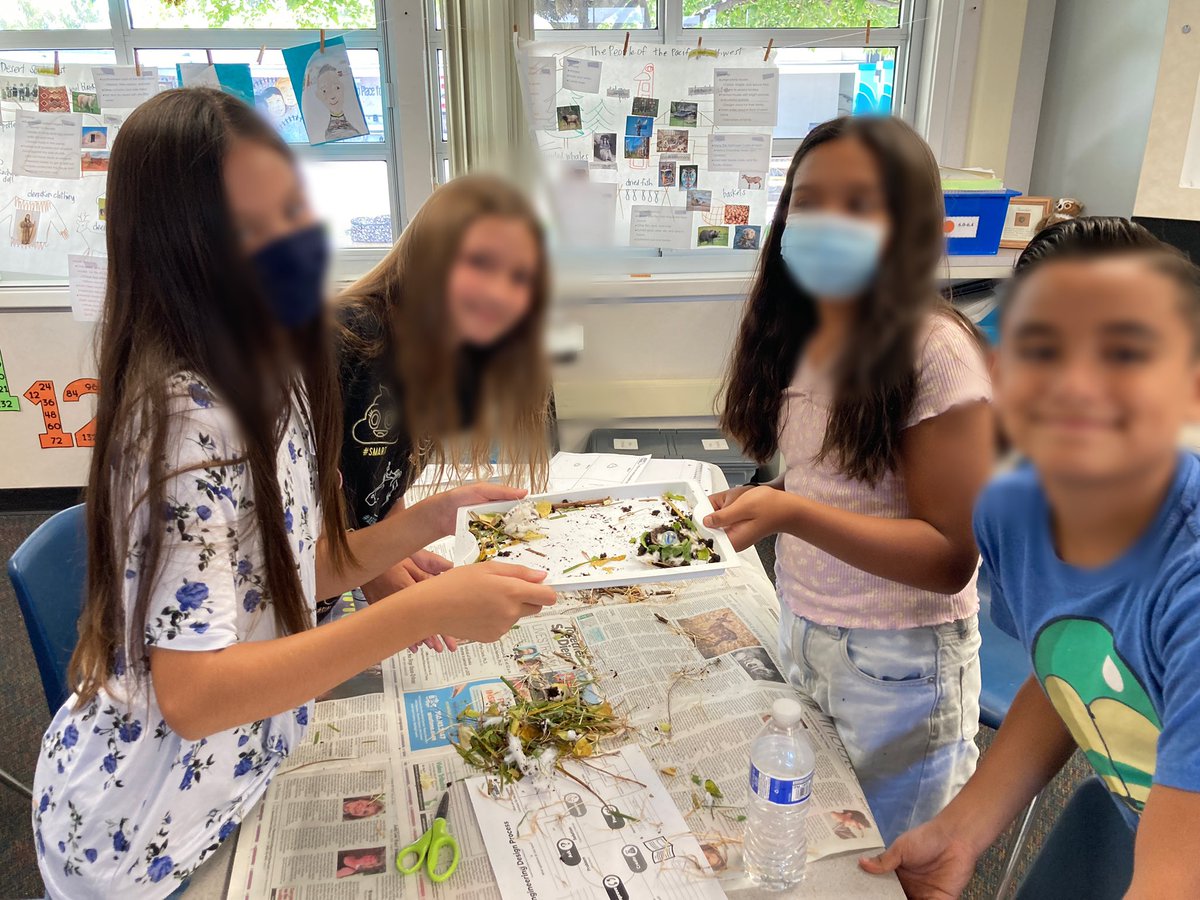 Rose Ellen Estrada (@ellen_estrada10) on Twitter photo Finished the first 12 days of science “Building a Better Nest”. My 5th graders loved this hands-on activity planning and creating using the Engineering Design Process (EDP). <a href="/HalecrestSchool/">Halecrest Elementary</a> <a href="/Mr_BMichael/">Michael Bruder</a> <a href="/CVESDNews/">CVESD News</a> Finished the first 12 days of science “Building a Better Nest”. My 5th graders loved this hands-on activity planning and creating using the Engineering Design Process (EDP). <a href="/HalecrestSchool/">Halecrest Elementary</a> <a href="/Mr_BMichael/">Michael Bruder</a> <a href="/CVESDNews/">CVESD News</a>