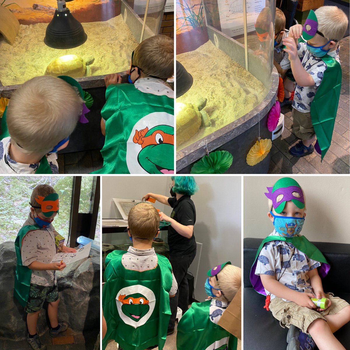 berducky's tweet photo. Finished off our visit with some one-on-one Gus time; scavenger hunt; watching the painted turtles get feed - and enjoying a little break. What a wonderful party you put on Gus! ❤️🐢🥳

#Gus100 #happybirthday #birthdayparty #museumsorbust #summer #staycation #halifax #novascotia https://t.co/VYWAXNLswO