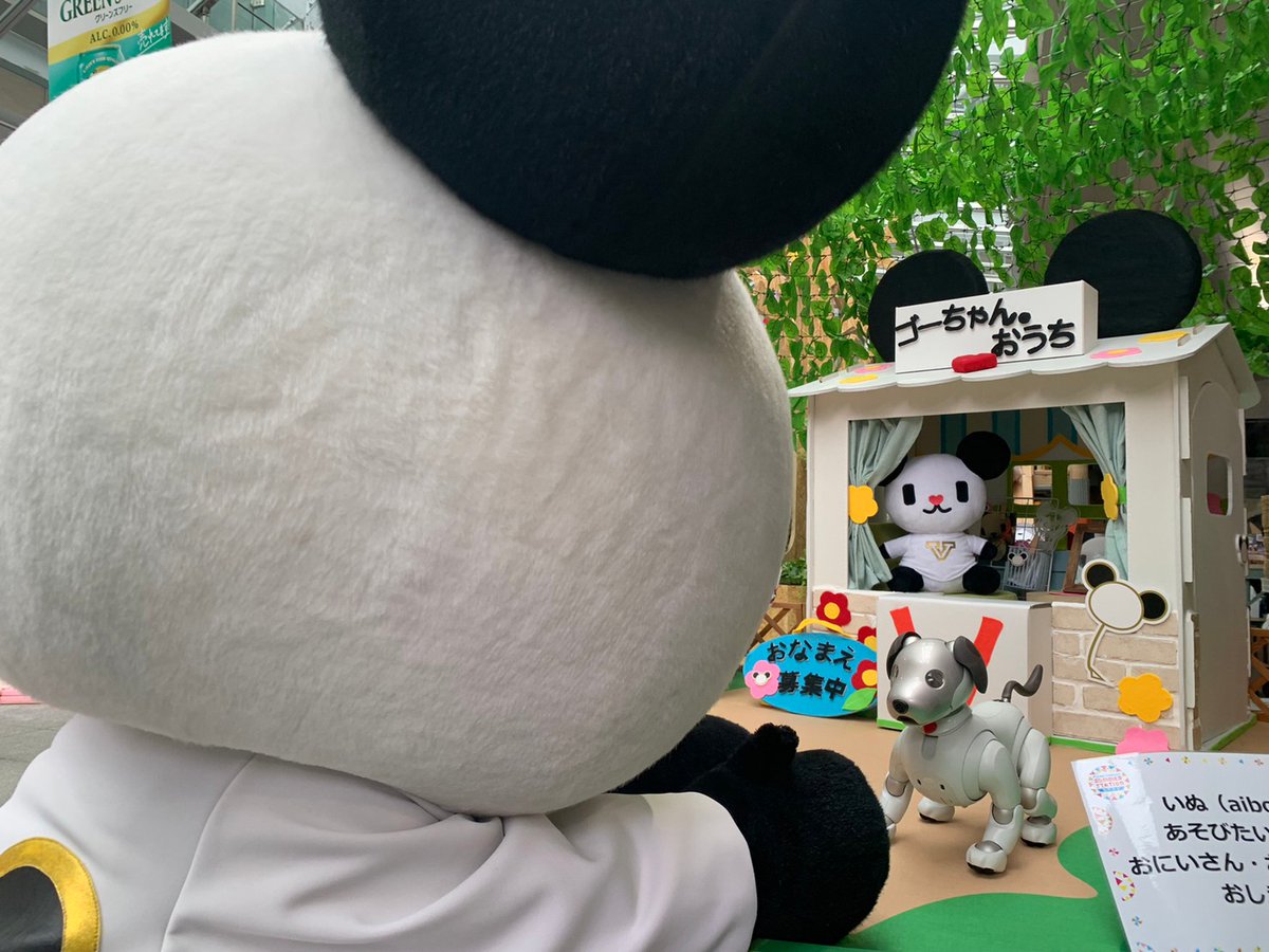 ゴーちゃん。 tweet media