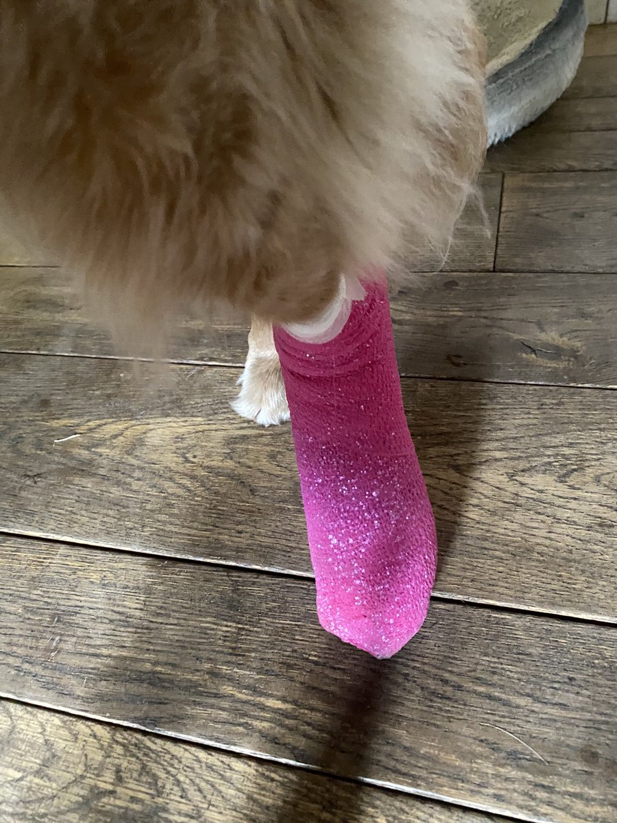 Back to back we faced each other! And yes My turn again to be in the wars… #toegate again! I’m ok, but had a clean break chasing a ball in the field 😕 Being mum clingy..