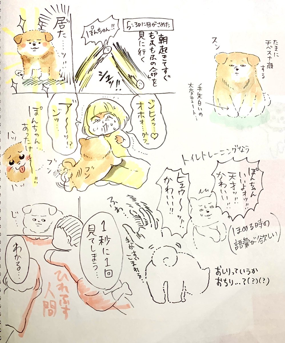 朝起きて「居る…犬が…」と思いました 