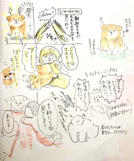 朝起きて「居る…犬が…」と思いました 