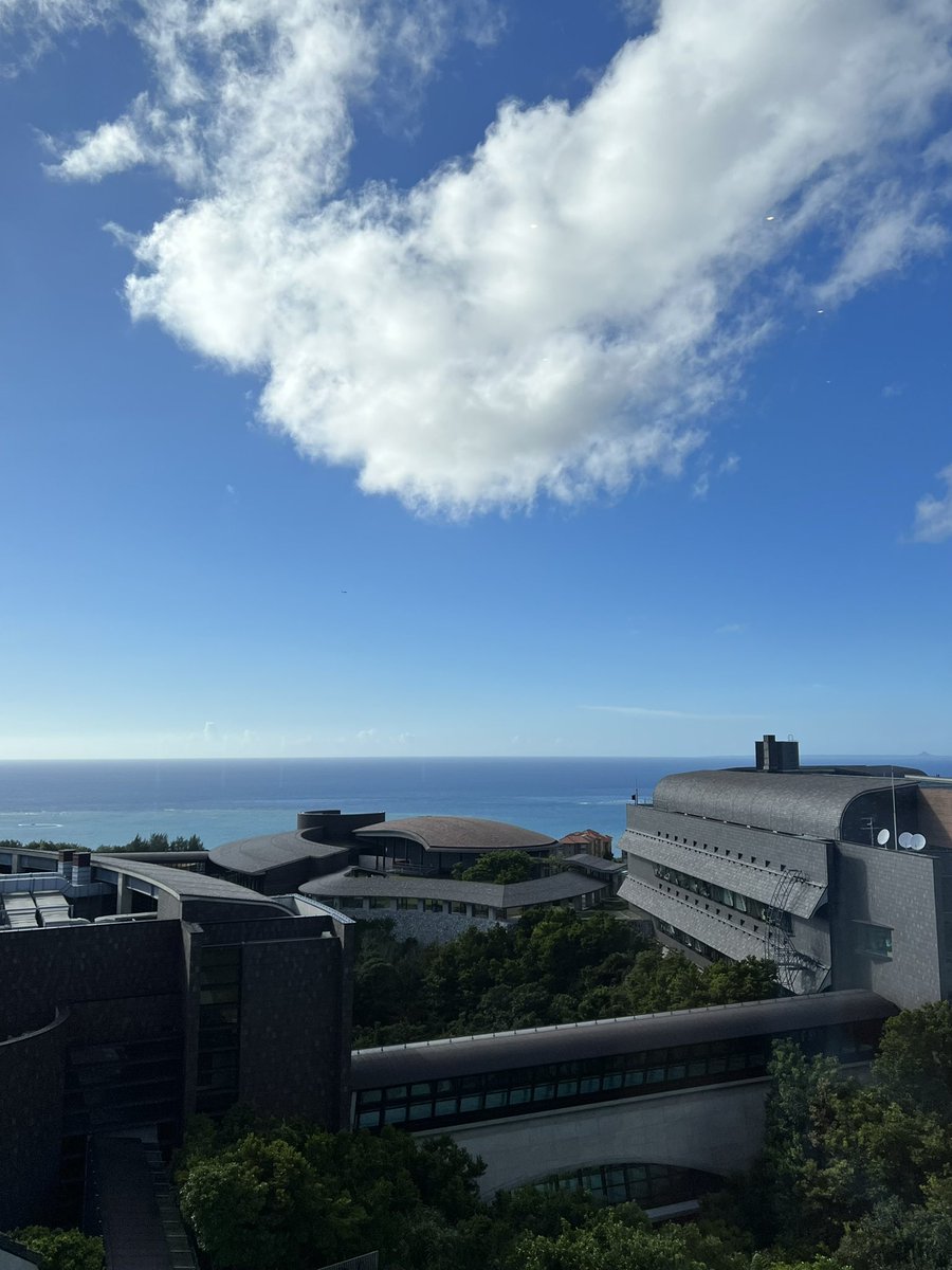 Angela Lin tweet media