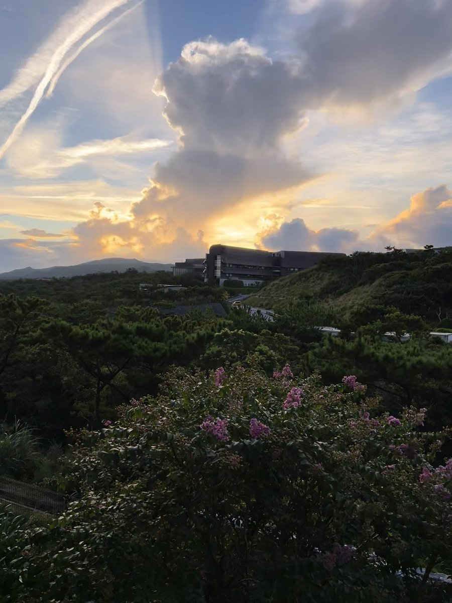 Angela Lin tweet media