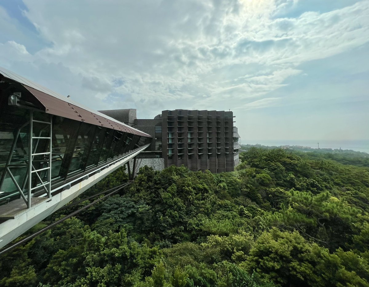 Angela Lin tweet media