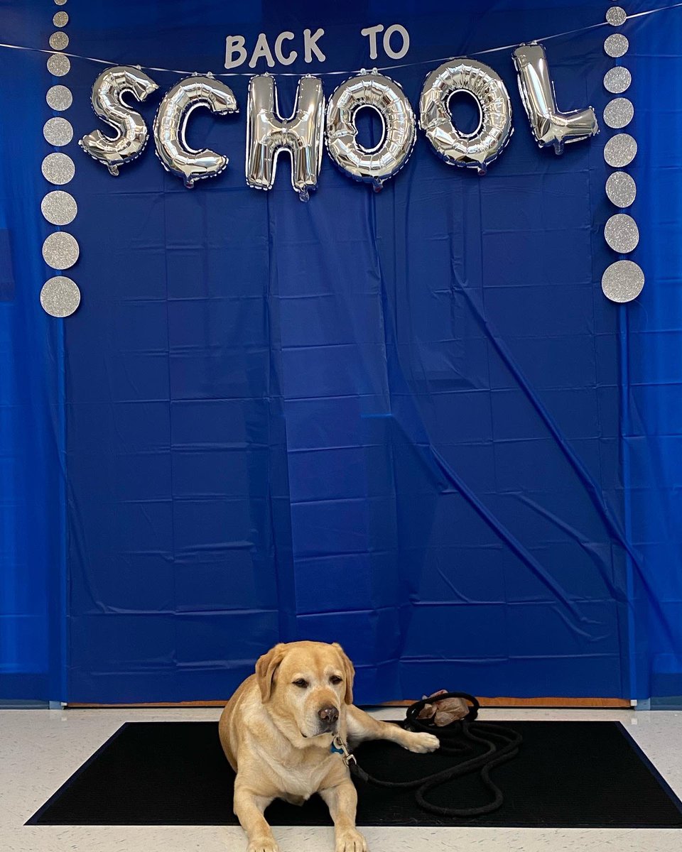 WYEPrincipal's tweet photo. We had a fabulous Back to School Bash tonight! We love our Hawks! See you Tuesday! #bestschool #GoHawks 🐾📚♥️ https://t.co/7FuuNBKWSU