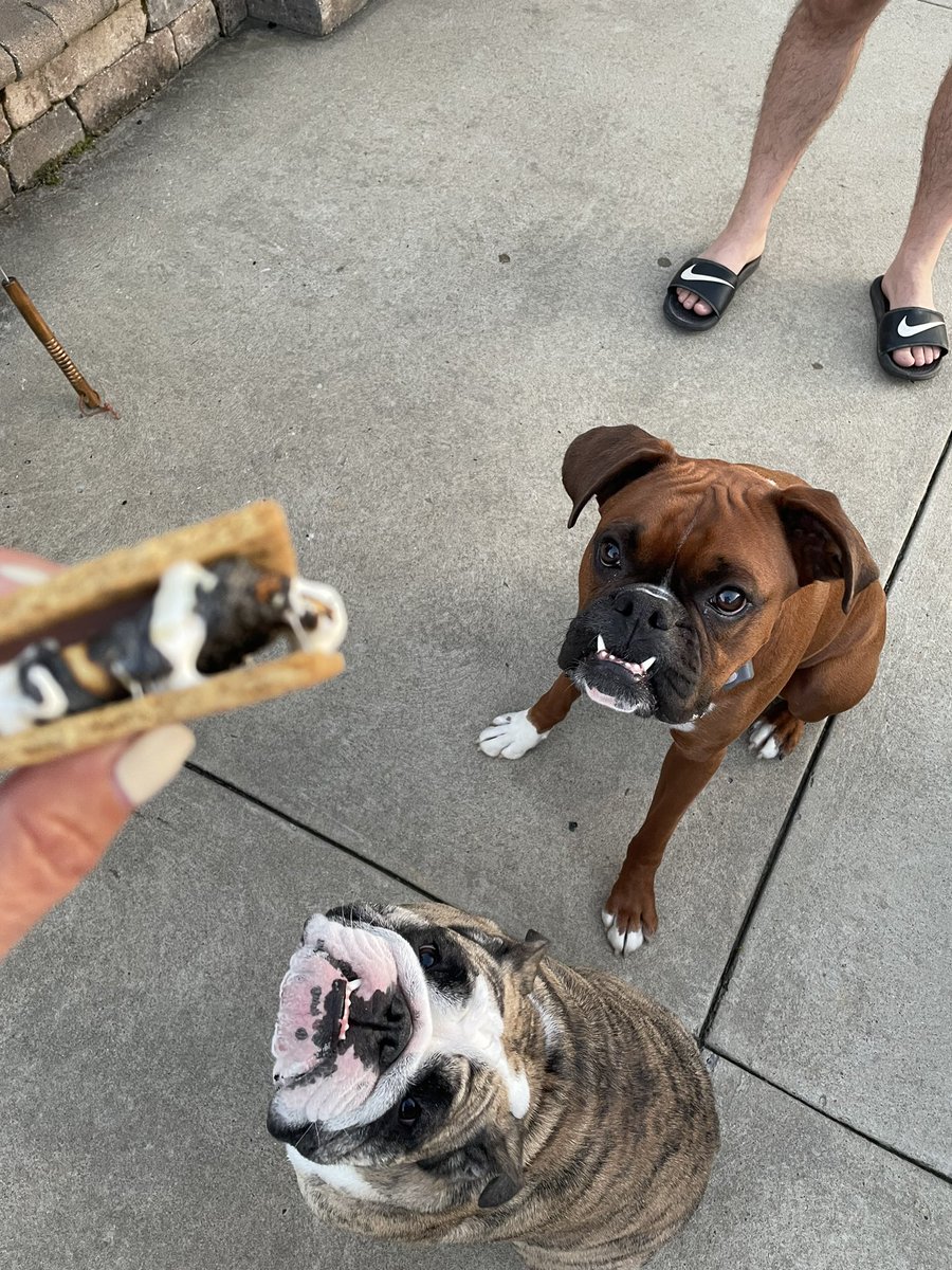 DanielleTiedman's tweet photo. Summer Nights #smores https://t.co/MH82SR46ks