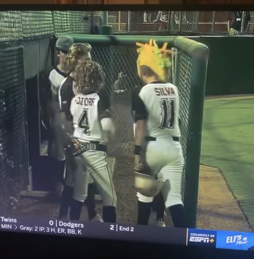 dawn paugh tweet media