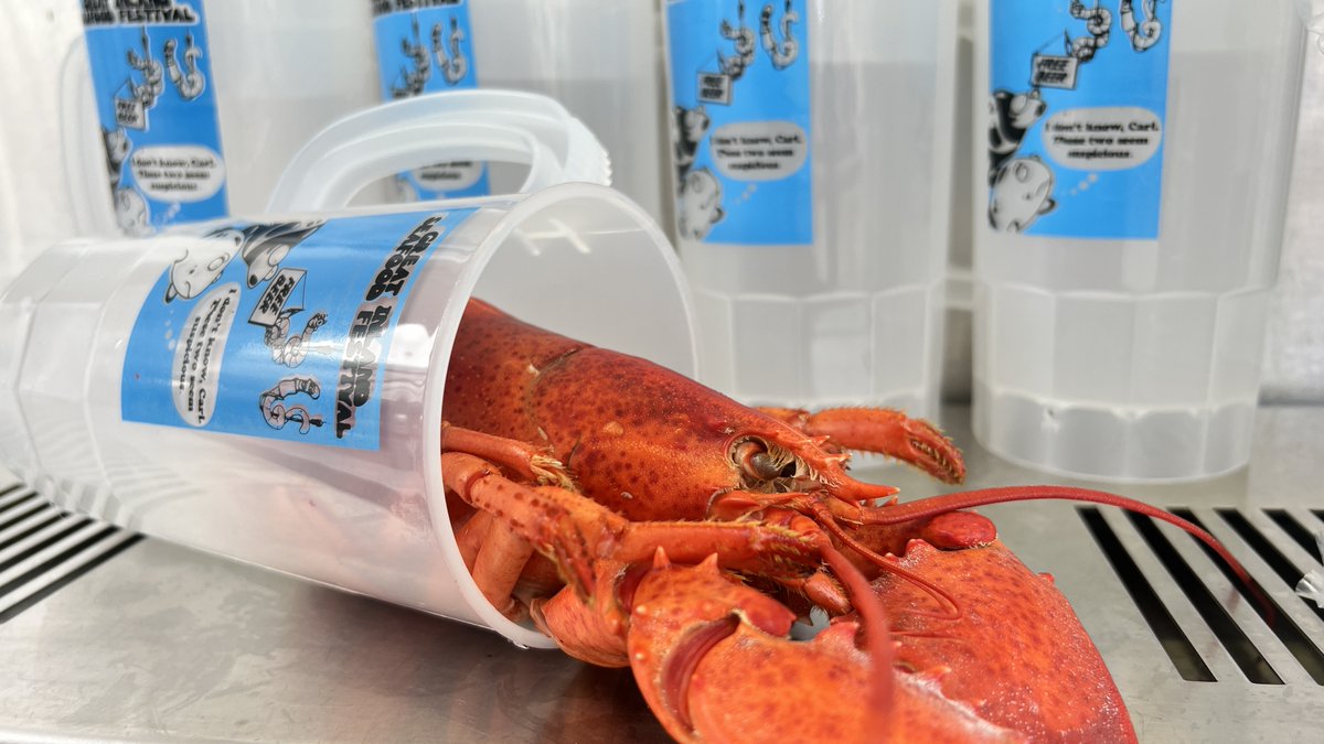 GreatInland's tweet photo. 🍻🦞 When your lobster fits perfectly in your beer stein, you know it’s a perfect match! https://t.co/TgkrffyfQs