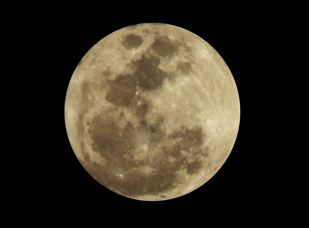 RexTheCoolFox's tweet photo. Foto que eu tirei da Superlua 11/08. Fiz uma edição nela pra tentar deixar mais nítido, mas essa é a melhor foto que eu já tirei da lua com certeza

#moon #moonphoto #lua #superlua #supermoon #Supermoon2022 #superlua2022 https://t.co/a2cZWC4Alb