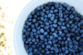 TheMasterVegan's tweet photo. Learn how to clean the pesticides off of your produce with this simple, all-natural method:  https://t.co/laJkShaANt

#Health #pesticides #NoGMO #natural  #Vegan #detox #glyphosate #vegetarian #fruits #vegetables #healthy #healthylifestyle https://t.co/IIPCTvlVmh