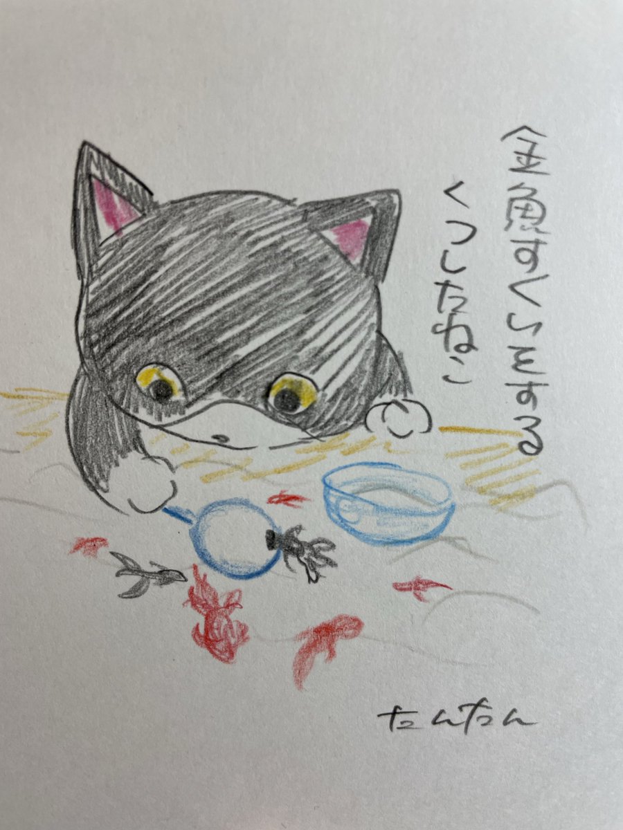 金魚すくいをするくつしたねこ

#イラスト #猫 