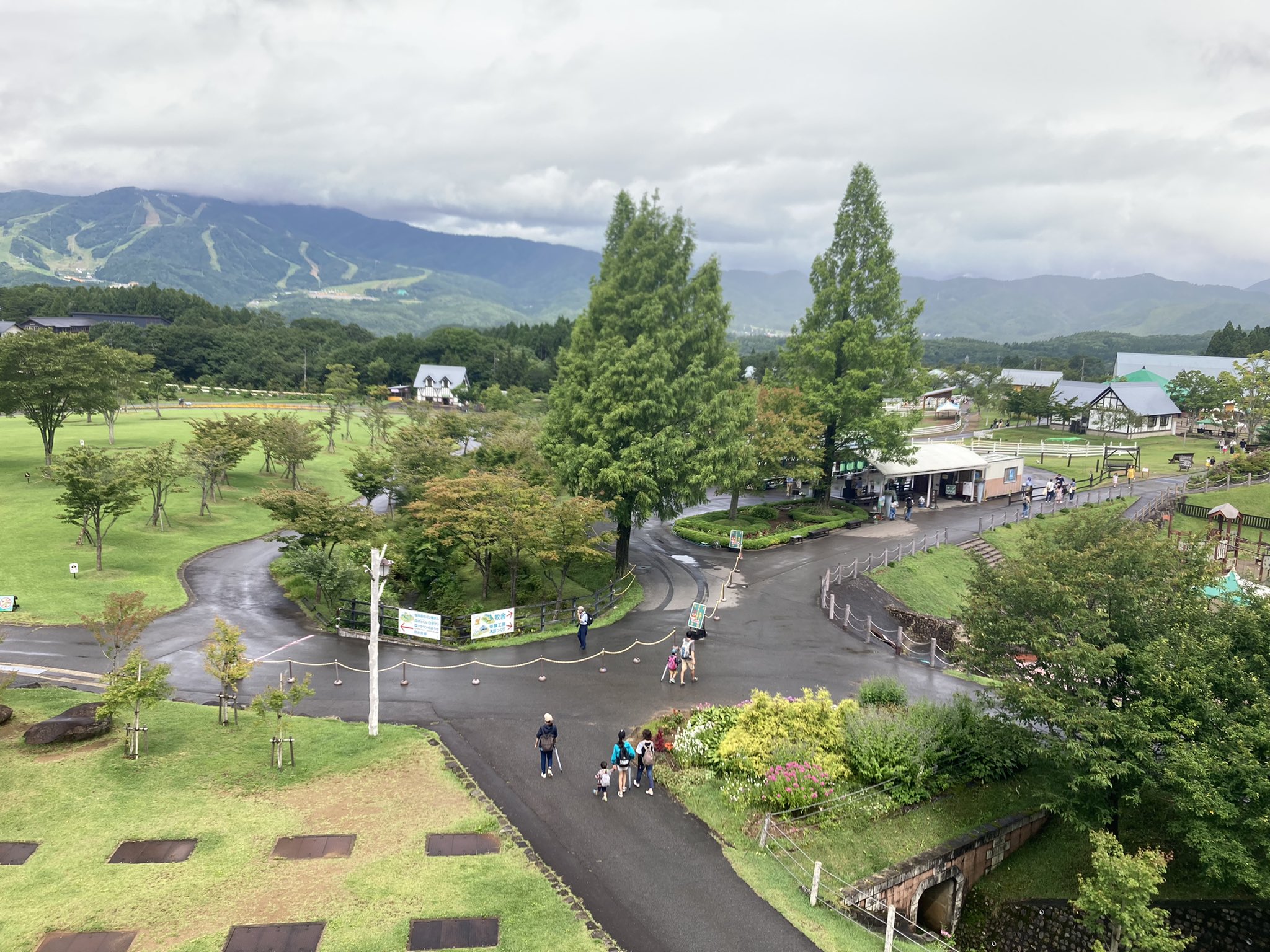 ひるがの高原 牧歌の里 公式 ただいまの園内風景 一雨降って 今は曇りです 山の天気は変わりやすいです ただいま気温は24 7 微風が吹いて気持ち良いです 牧歌の里 T Co K9fqzupa1y Twitter