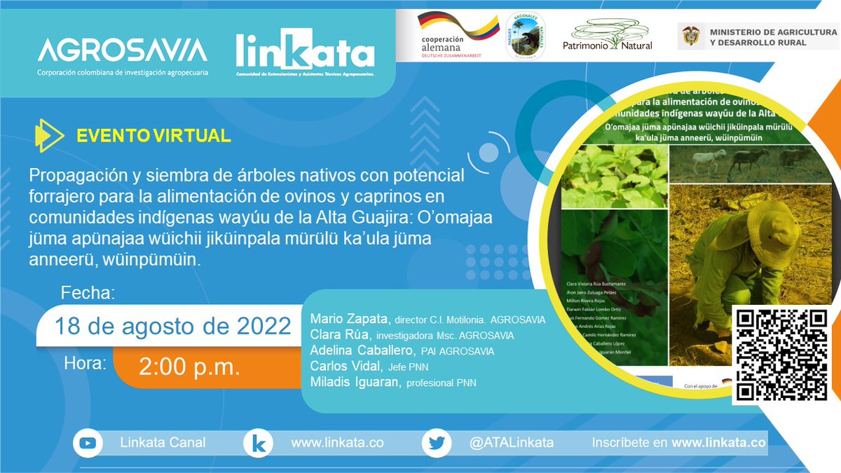 SomosAGROSAVIA's tweet photo. #Eventos2022 #Linkata "Propagación y siembra de árboles nativos con potencial forrajero para la alimentación de ovinos y caprinos en comunidades indígenas wayúu de la Alta Guajira". #MAÑANA jueves 18 de agosto, desde las 2 p.m. Inscripciones 👉 https://t.co/4JrYPicT0U https://t.co/0U7Cxopdsm