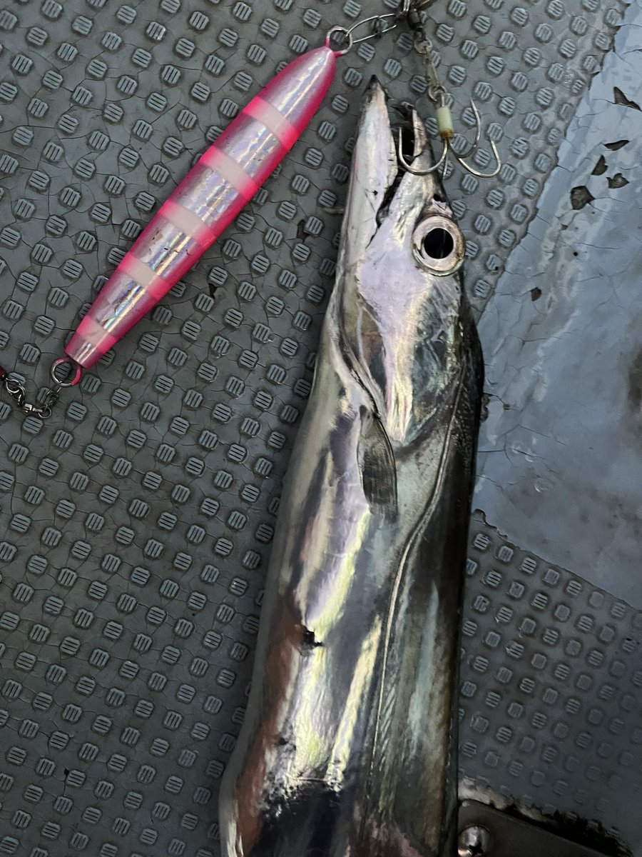 taknaitoh's tweet photo. #プランジ120g
#jacksonlure
#MARS2 https://t.co/csaclbl9YJ