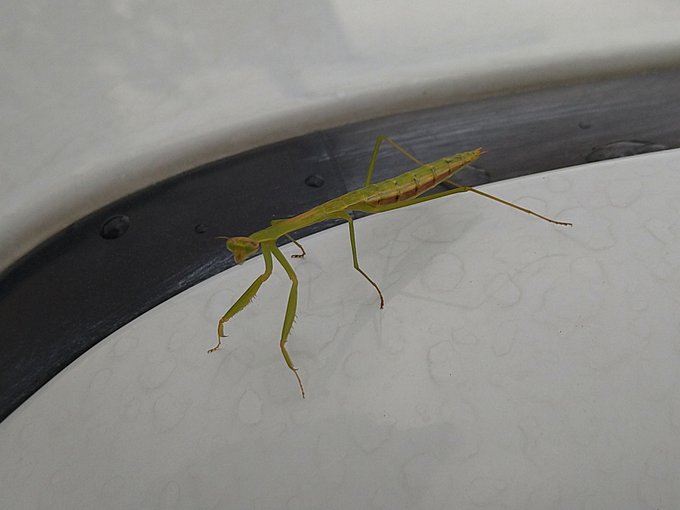 いざ出陣じゃあ。 