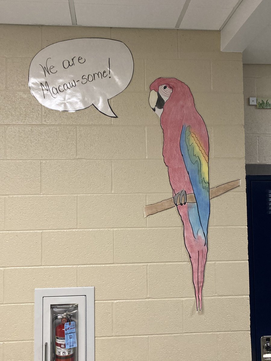 Fearless Fourth Macaws tweet media