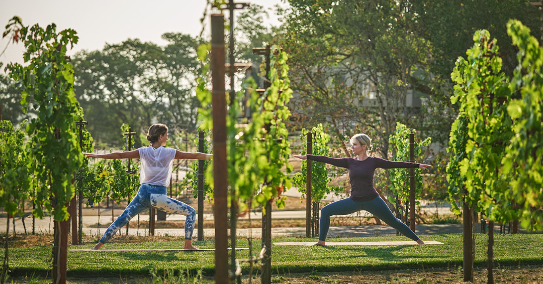 Marin Magazine tweet media