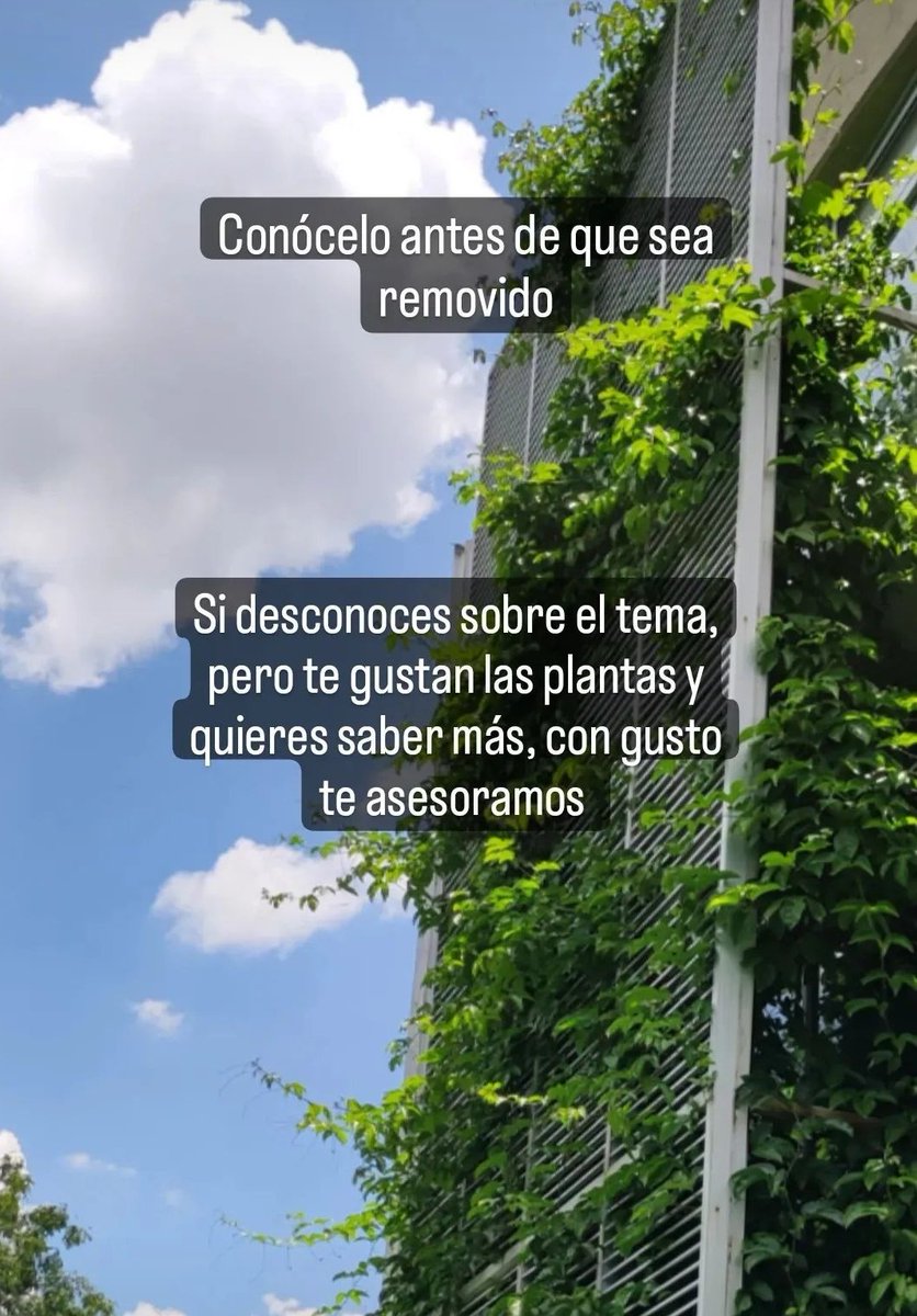 saffog's tweet photo. @UAN_Oficial es una pena que vayan a remover la maracuyá del huerto urbano https://t.co/X1IJcYUCnX