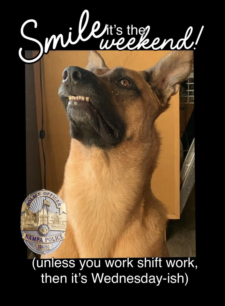 NampaPolice1's tweet photo. Have a great weekend. We’re here if you need us.
(Yes, even on the weekends, and nights, don’t forget every holiday, your birthday and mine…)
We’re here for you, Nampa!
#SMILE #ProtectandServe #FunAtWork #K9Stryker #StykerD #DforDog #NPDK9 #DentalPlan #WeAreNampa 🐾 https://t.co/H9CxPLhZBP