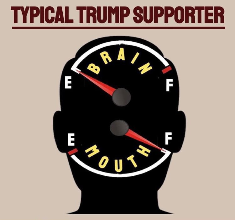 62WalterP's tweet photo. @zazzybritches @TilghmanChris @RockyMtnView @RegVickers @kristyshl @ADirtyRottenDog @politiolyc @MairScott3 @bettypge69 @doug_in_nc @Cha51brolll19 @CartistNy @OklahomaPatrio1 @TJNugent520 @Ldogls @KeepsAtIt @GDThor1 @McGeezer70 @KITTYBAYOUTSFAN @keriRN @vaato5455 @BonJS0370 @impinkestgirl @RonReedwlvslvfr @MarciaBunney @Welshsprout @SnyderGm @GreatTammie @Beleafer1 @moriartydg @ldog562 @BandieraNancy @gojoe_joe @CirclesSpinning @oldmanliver @patricia_millin @BernadetteNTF @Ezim79 @poppij @bobbiejaneV @HopeVoteBiden @MFrance923 @Chieki @yolalindayola @HondoResists @BlueWave_resist @CunningSq16 A typical trump supporter ,
#BrainEmpty
#MouthFull then again I could be wrong !!! ๐๐๐๐๐ https://t.co/kaAmQRzStw