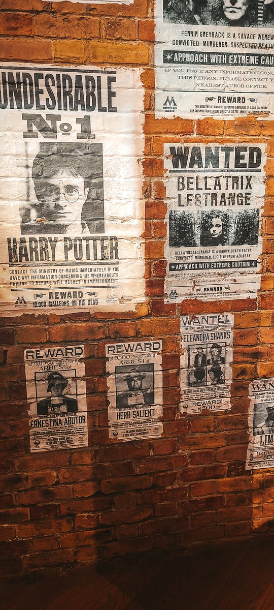 candykizzes24's tweet photo. I solemnly swear that I am up to no good. 🪄🧙♀️ @HarryPotterNY #harrypotter #always #potterhead #ifinallymadeit https://t.co/j9WPhFzHz5