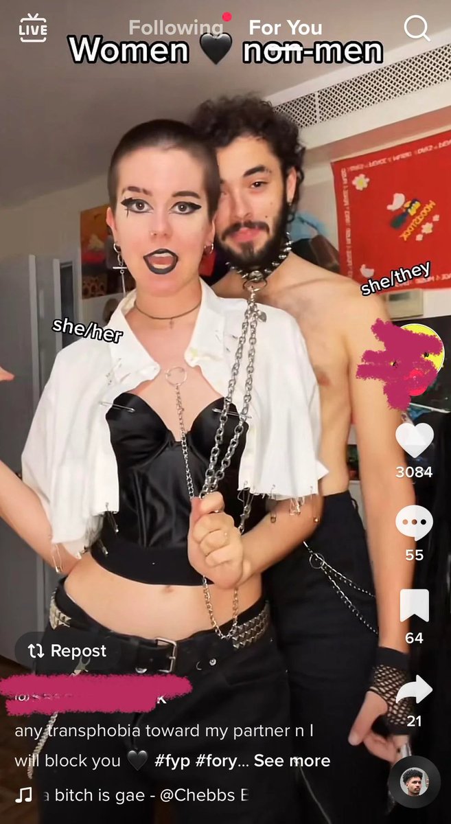 Punished Cactus tweet media