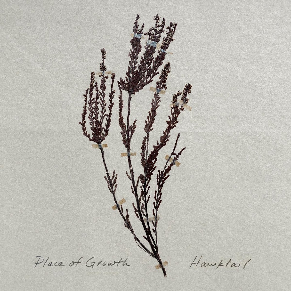 Our new album, Place of Growth, is out now. Find it wherever you listen. Thanks to <a href="/sinkysy/">David Sinko 🟧</a> for recording, mixing, and mastering and to <a href="/lorenwitcher/">LoDubs</a> for the design.