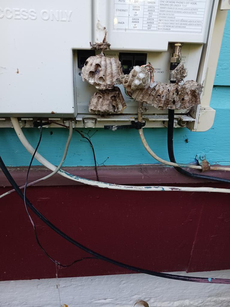 moltenblue's tweet photo. #Polishes, who gave you permission to use my FIOS? https://t.co/iI2dY1UdLO