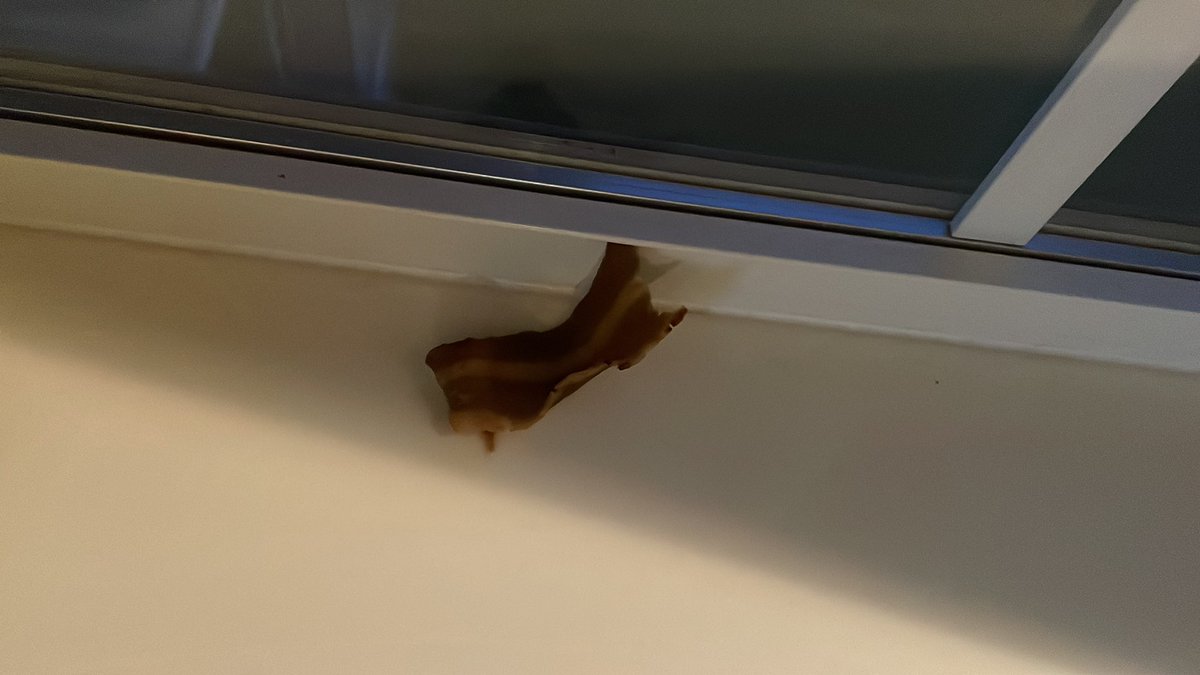 PattiBiggs7's tweet photo. @thousandhillsmo !  During our drive to Branson you call and tell us our reserved and paid cabin is no longer available - you arrange for another (lesser) condo - but there’s BACON IN THE WIDOW SILL!!  Since last night!!!  WHAT IN THE WORLD?!?  Have any #customerservice? https://t.co/jTCHYRw05V