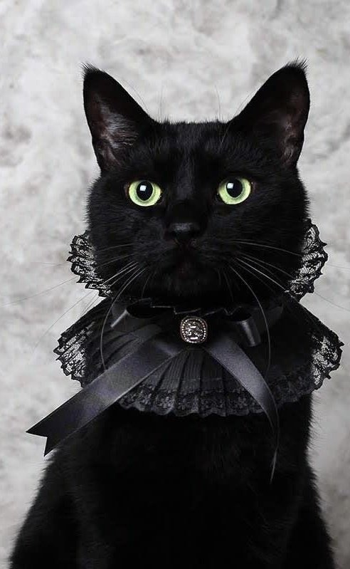 He was punk, she did ballet...