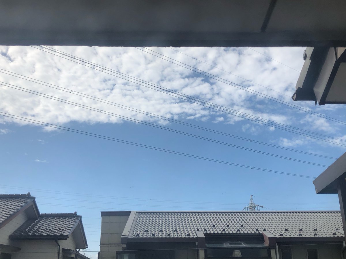 myutaro's tweet photo. すごくいい天気。台風来るの信じられない。@千葉県 https://t.co/LD2VvlDLRS