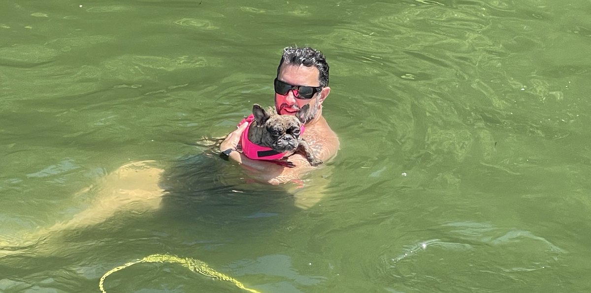 JamesCraigmyle's tweet photo. Teaching #Nala how to swim in the lake. #craigmylek9training
I’m having a blast training dogs #Live online - I’m going to call this training #LiveK9. Get your in person training or online at https://t.co/57O1cKaU54
#OPLive #onpatrol #livepatrol #OPNation #worldwide https://t.co/i2ysIdTySQ