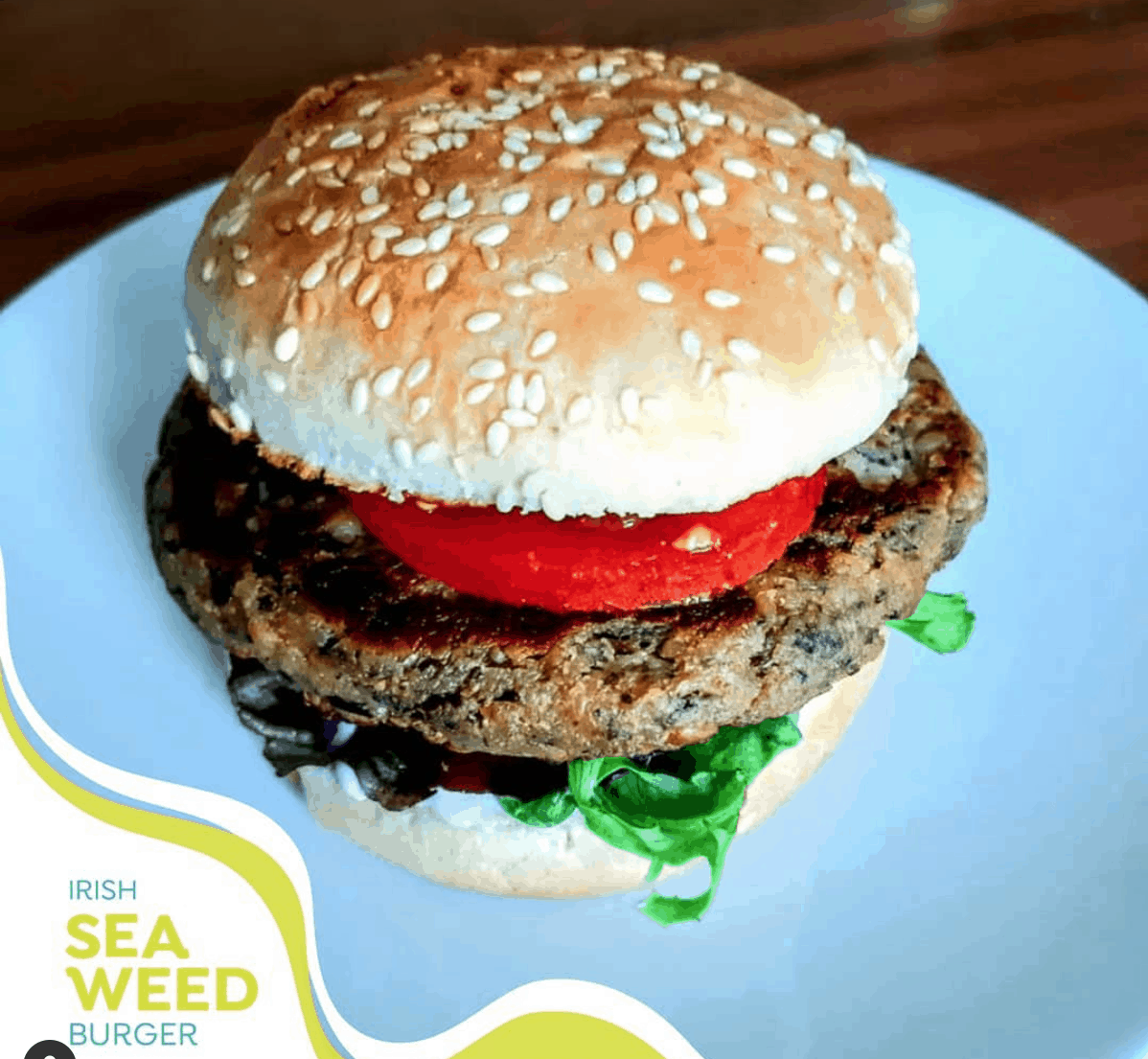 Algae_Chat's tweet photo. Irish company Plantruption has developed what it claims is the first plant-based seafood made in Ireland - the Irish Sea Weed Burger, is made with seaweed harvested on Irelandโs Atlantic shores - https://t.co/wXeQ0H7H0g
#algaechat https://t.co/14IxVGXOQ9