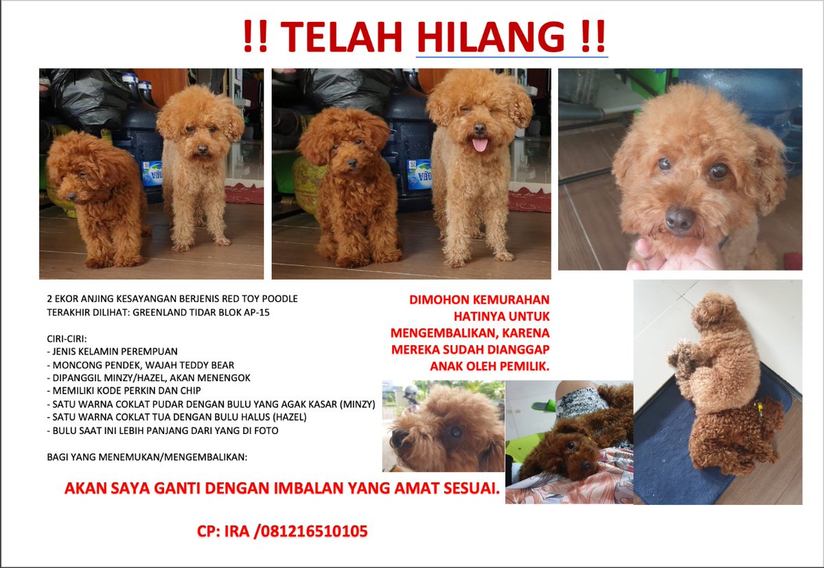 greatgaluh's tweet photo. Bantu share donk
Area Tidar, Malang
@infomalang https://t.co/DdRkqvUSA4