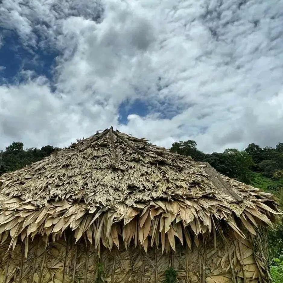 forestpost_in's tweet photo. There's a quiet logic about the homes built by forest people. In tune with the seasons, the abundances, the unfinished and ever-evolving. 

#ForestPost 
#Sustainable
#Bamboo
#IndigenousWisdom
#VernacularArchitecture
#ThatchedRoof https://t.co/d3BOMwweE7