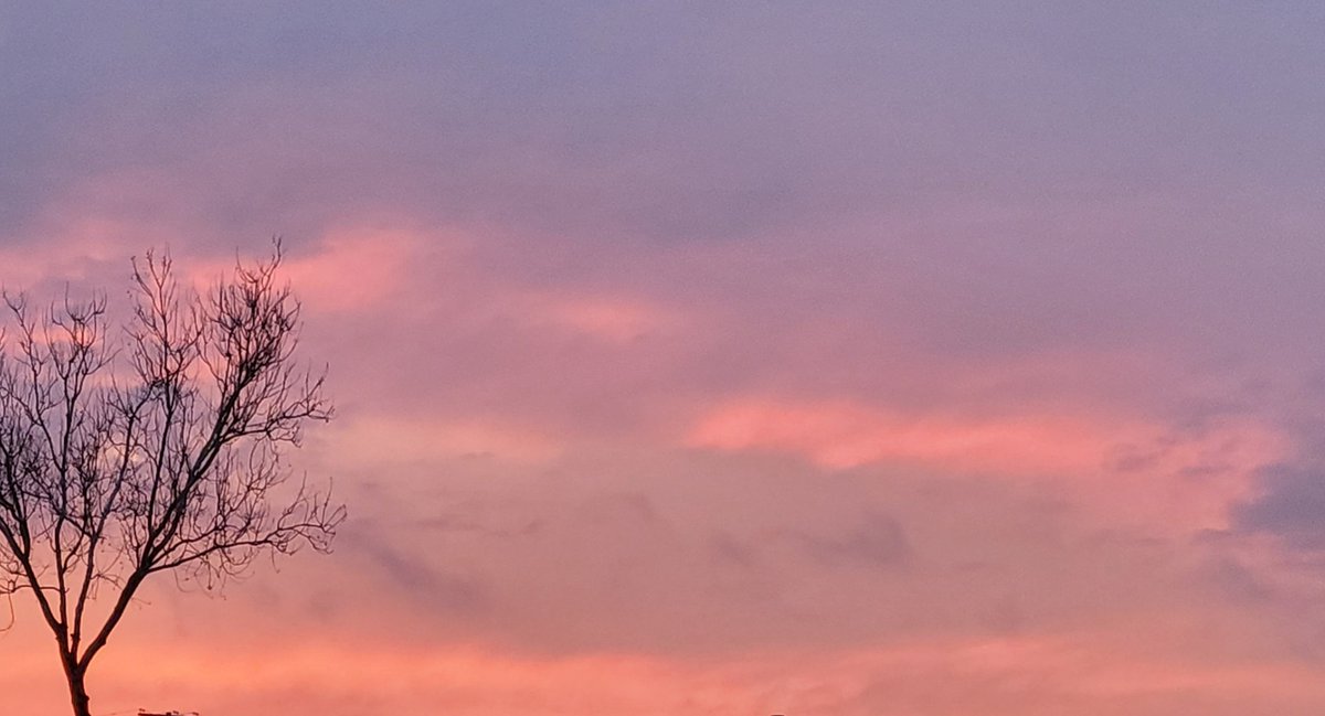 lilpixie421's tweet image. #justbecause