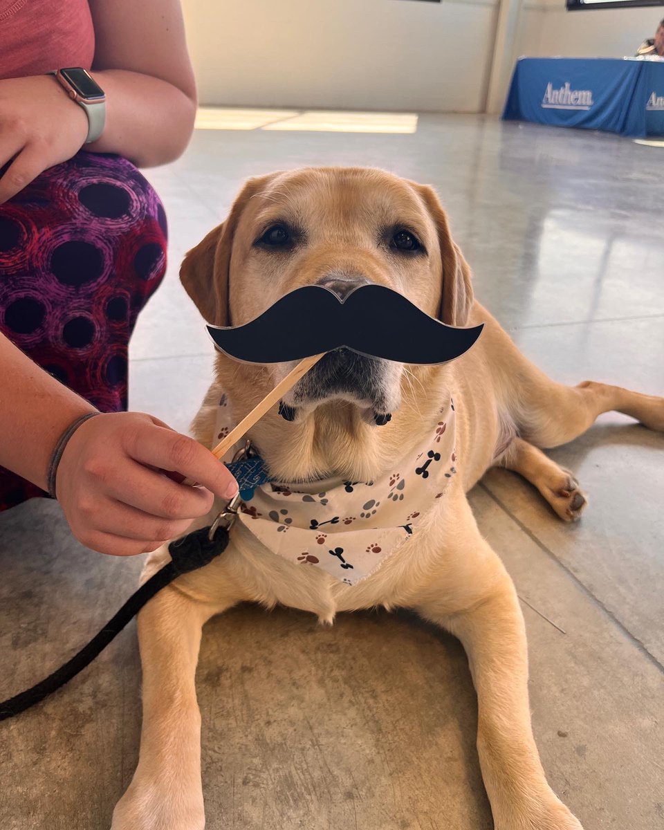 WYEPrincipal's tweet photo. Cash had a blast at the TSC staff meeting at the fairgrounds! He even posed with his fan club! 🐾 @Doug_Allison13 @14cfraley @TSCSuper https://t.co/vGnfNUF1BU