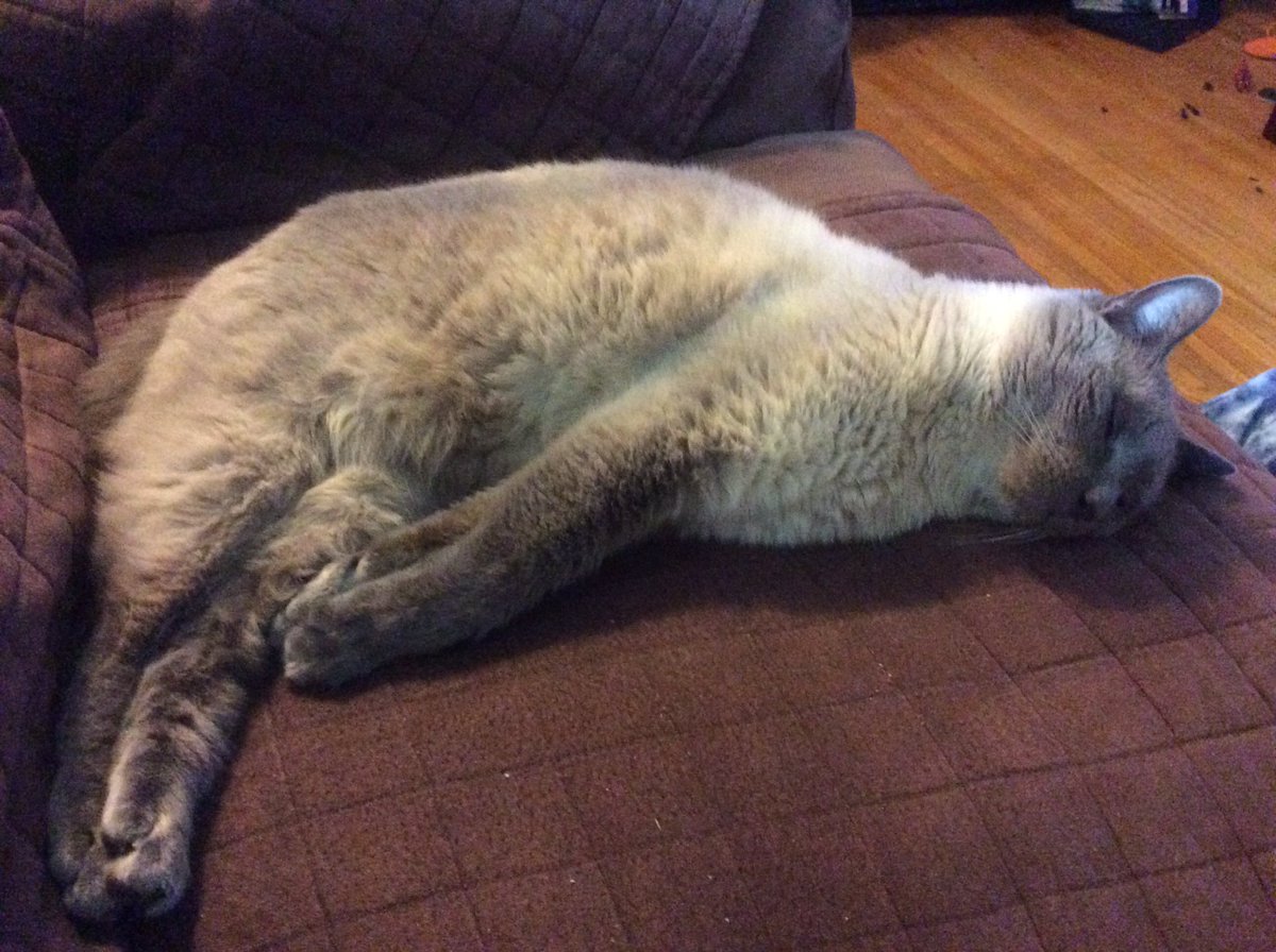 LisaB720 tweet media