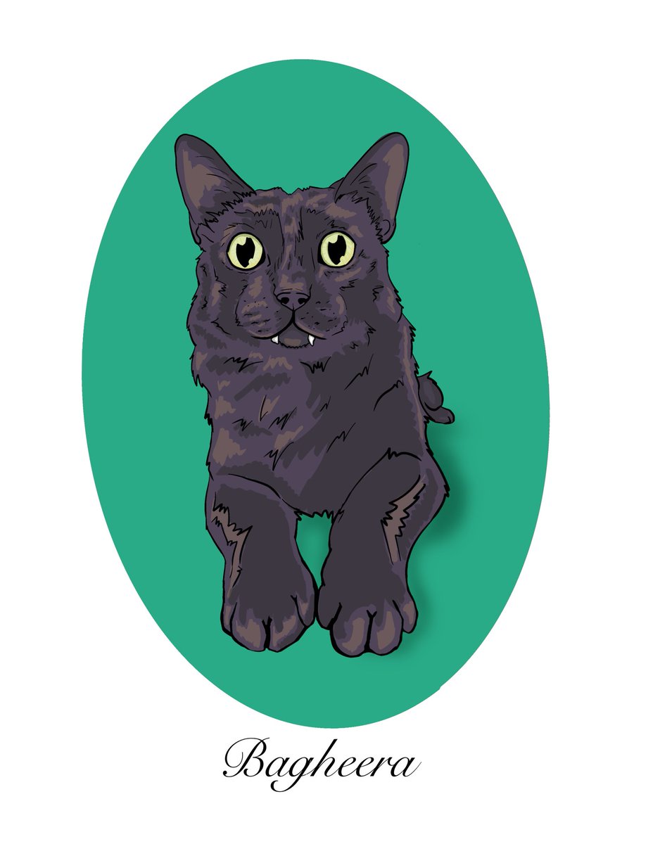 rohsez's tweet photo. Digital pet portrait for my friend 🥰 #catart #procreateart #petportraits https://t.co/cY7HqWvr3S