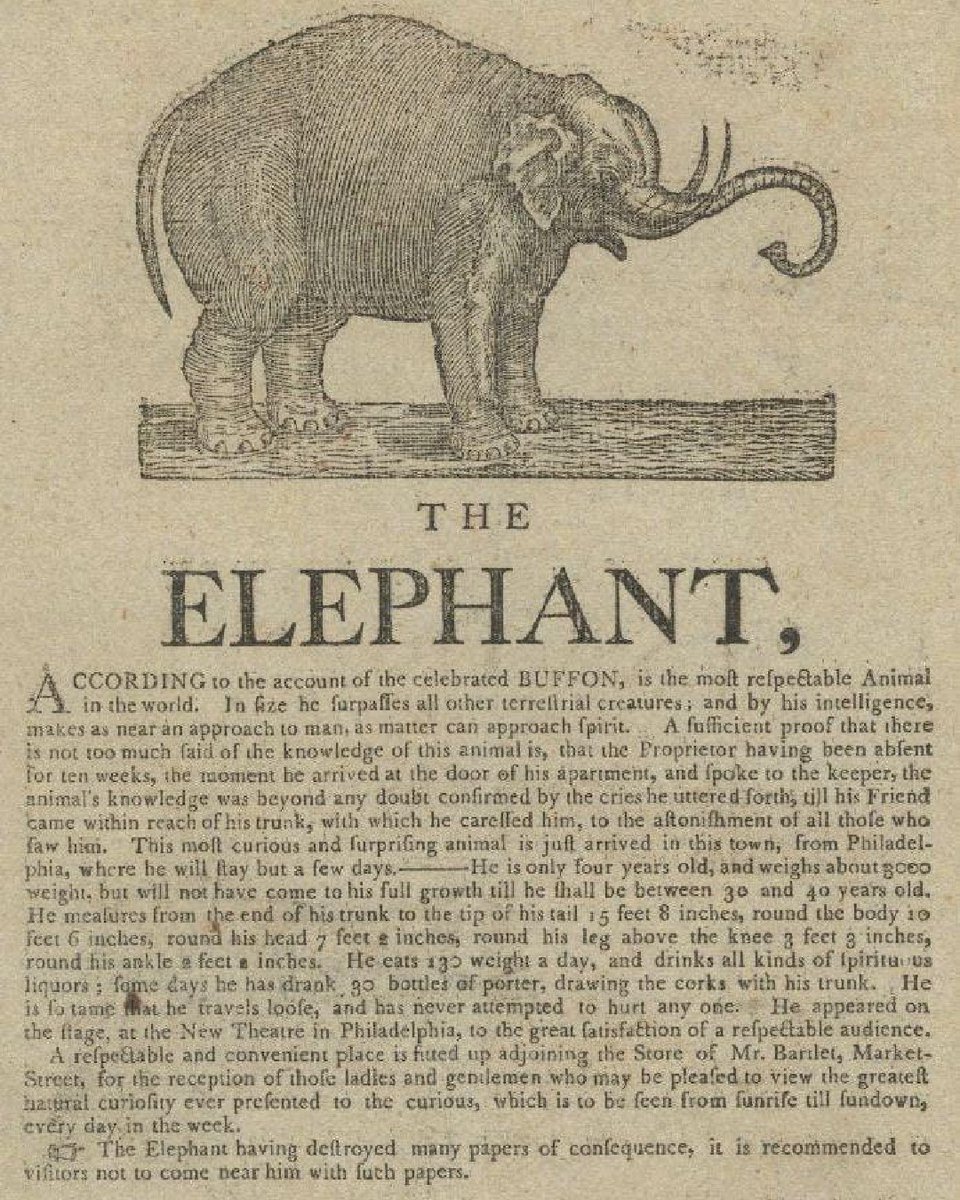 NYHistory's tweet photo. What's the story behind the first elephant brought to the U.S.?
The first elephant came to the United States through New York in 1796 and was called “Old Bet.” Learn more #FromTheStacks here: https://t.co/313QsDjabD https://t.co/c7rPBhT6xM