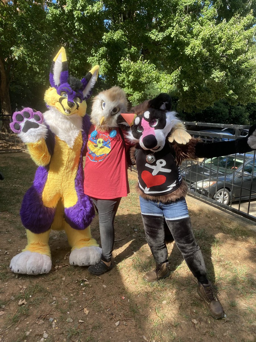 astridddragon's tweet photo. happy #fursuitfriday check out these cuties https://t.co/ZutHXhLgQd
