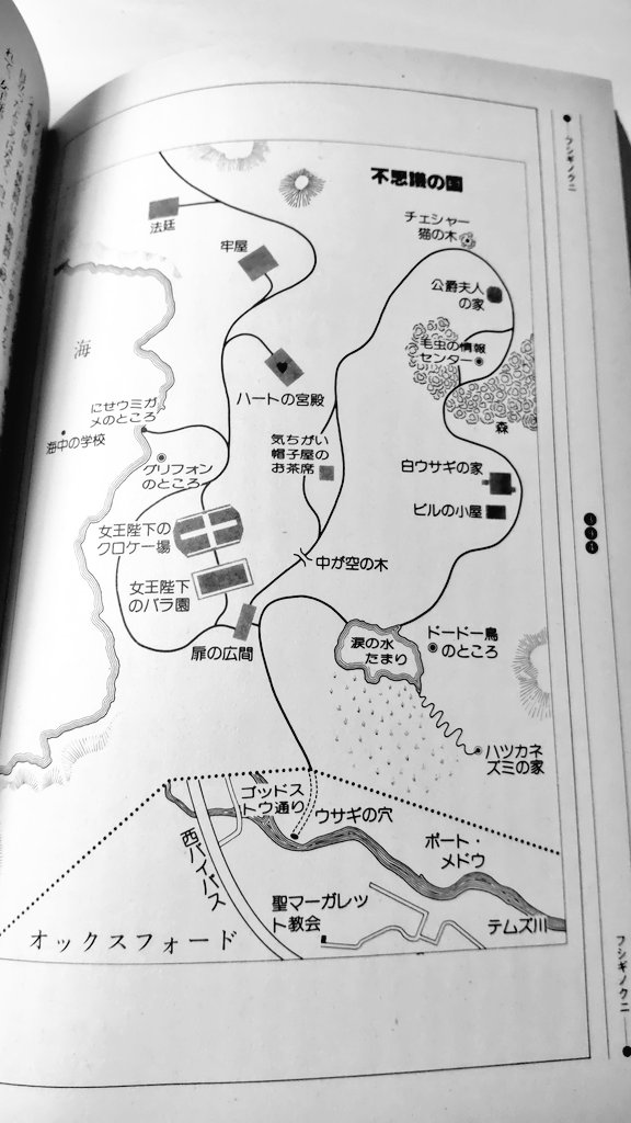 講談社「世界文学にみる架空地名大事典」引っ張り出して、不思議の国のアリスの「不思議の国」の想像図見てる 