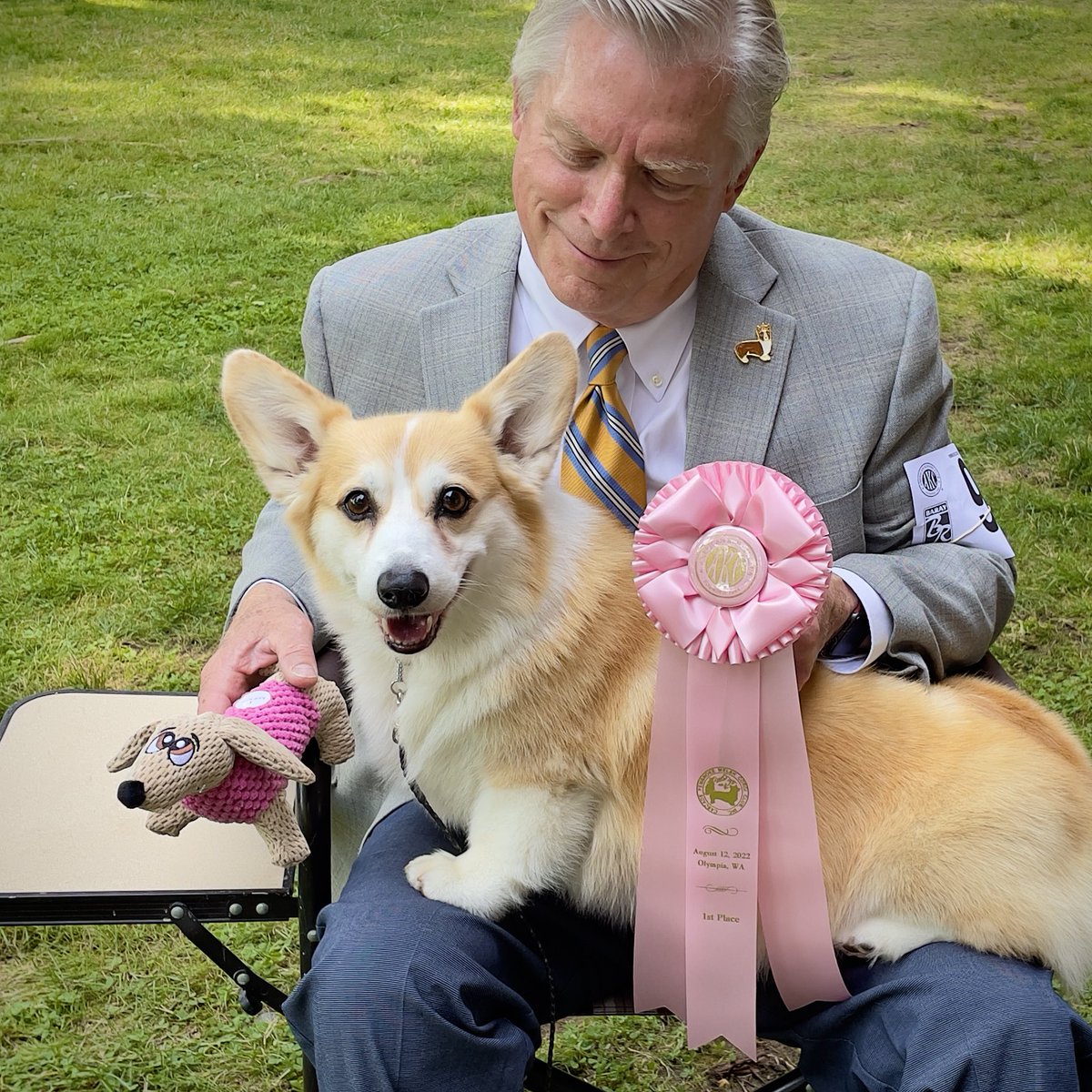 SmilingCorgi's tweet image. Chloe Anne won her sweepstakes class at the Cascade Pembroke Welsh Corgi Club’s Specialty show this week in Olympia, WA. She’s 11, and won the 10 and over veteran class. We had a great time! (She won a squeaky toy too… she’s in heaven!)
#CorgiCrew