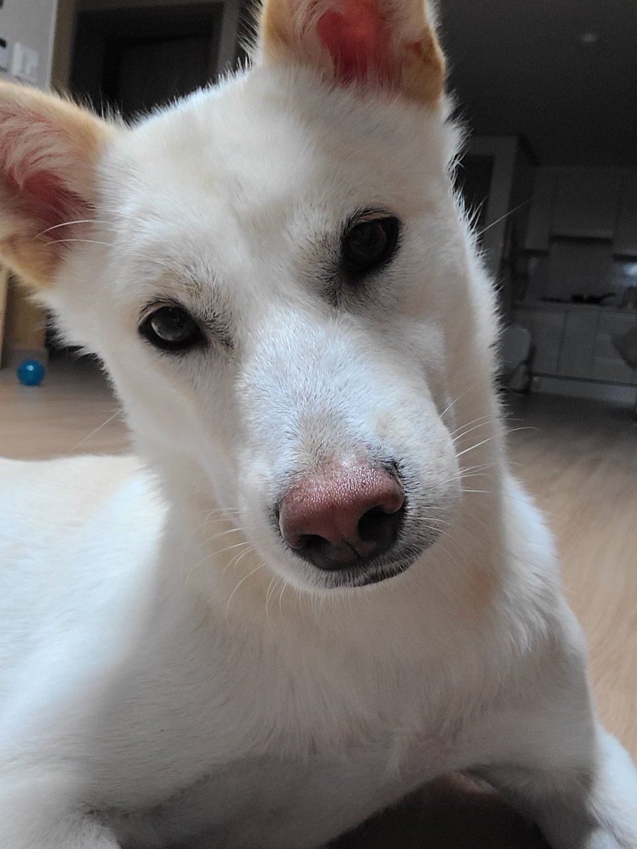 김민경 tweet media