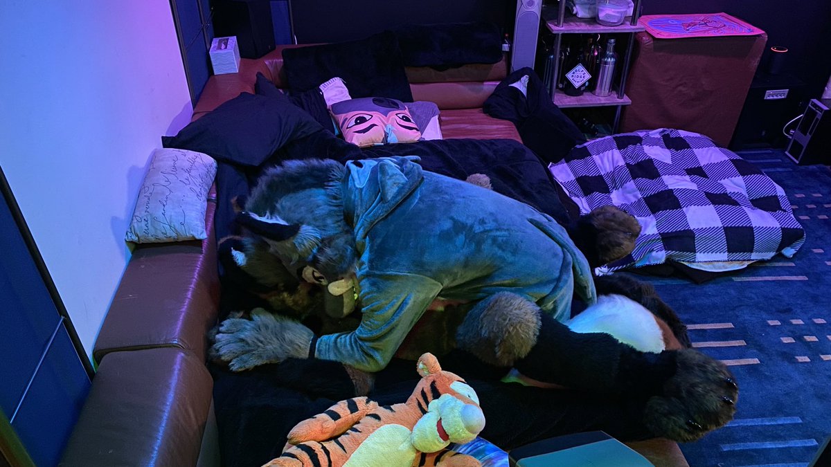 Syn, MD シン・ウルフ🌿🌱🪴 🔜 FURPOC, ANE, MCFC, AO, FWA tweet media