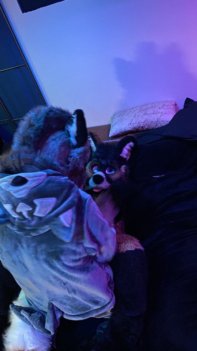 Syn, MD シン・ウルフ🌿🌱🪴 🔜 FURPOC, ANE, MCFC, AO, FWA tweet media