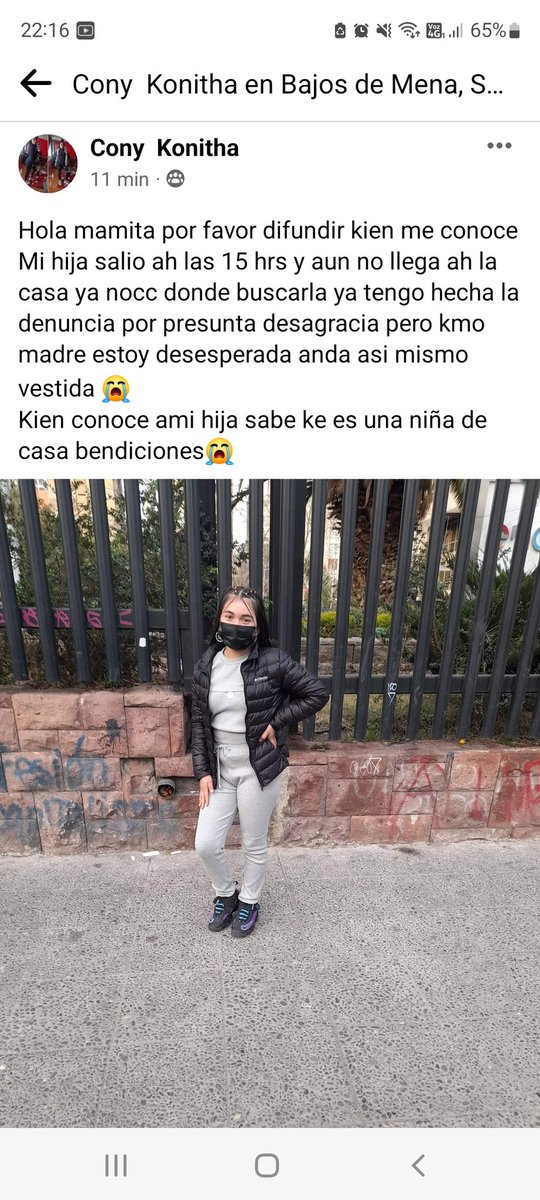 Mi gente se busca niña no llega a su hogar desde que salio del colegio las palmas en puente alto bajos de mena